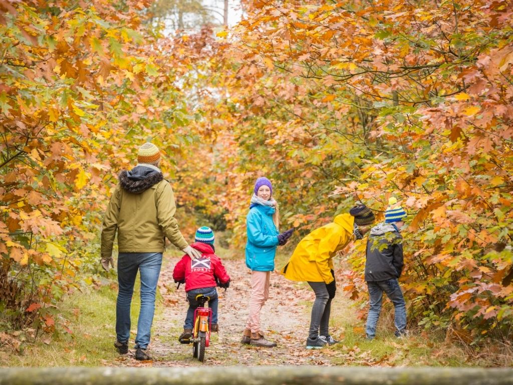 Aktiviteter og hygge med familien | Landal GreenParks