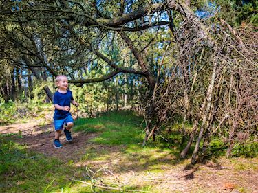Lille dreng i skoven | Pakkeliste | Landal GreenParks