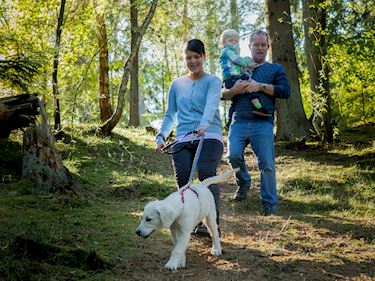 Familie i skoven | Plant et træ | Landal GreenParks