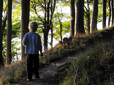 Dreng i skoven | Landal Middelfart