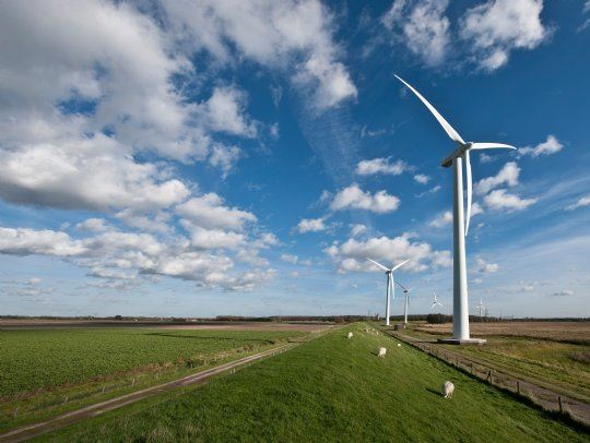 Natur og vindmøller | Ferie i Holland | Landal GreenParks