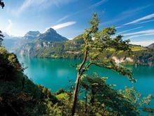 Bjerge og søer | Ferie i Schweiz | Landal GreenParks